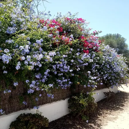 Delos Holiday home